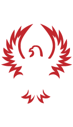BF Multimedia